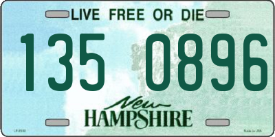 NH license plate 1350896