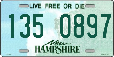 NH license plate 1350897
