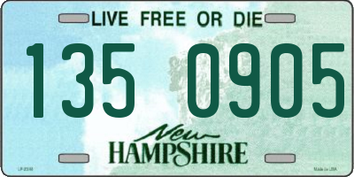 NH license plate 1350905