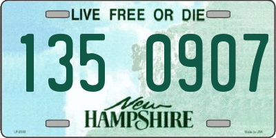 NH license plate 1350907
