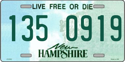 NH license plate 1350919