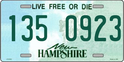 NH license plate 1350923