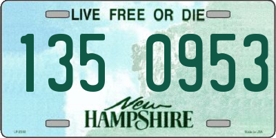 NH license plate 1350953