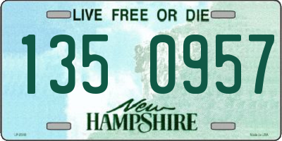 NH license plate 1350957