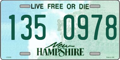 NH license plate 1350978