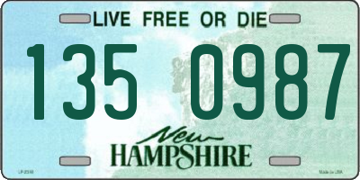 NH license plate 1350987