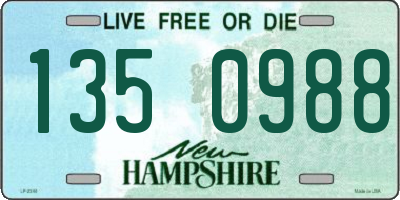 NH license plate 1350988