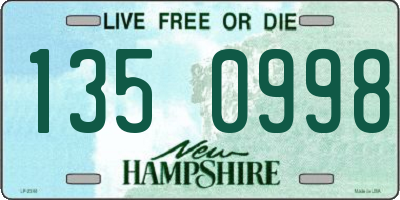 NH license plate 1350998