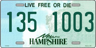 NH license plate 1351003