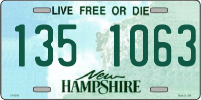 NH license plate 1351063