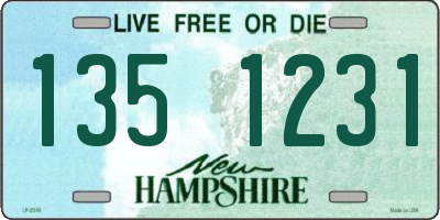 NH license plate 1351231
