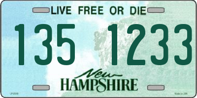 NH license plate 1351233