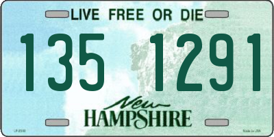 NH license plate 1351291