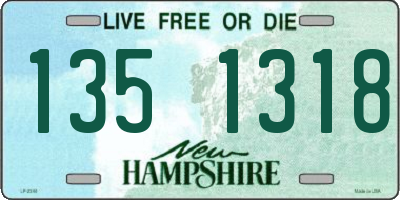 NH license plate 1351318