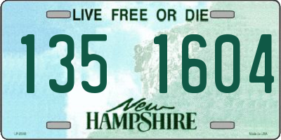 NH license plate 1351604