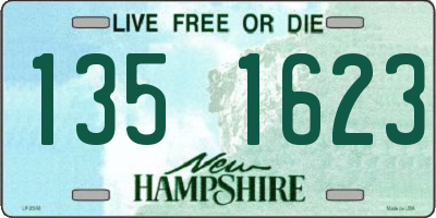 NH license plate 1351623