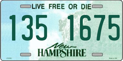 NH license plate 1351675