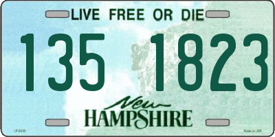 NH license plate 1351823