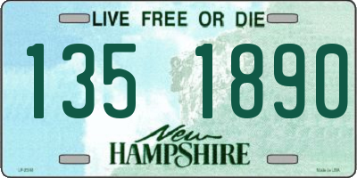 NH license plate 1351890