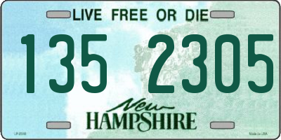 NH license plate 1352305