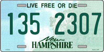 NH license plate 1352307