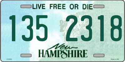 NH license plate 1352318