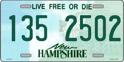 NH license plate 1352502
