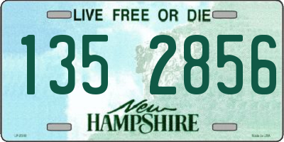 NH license plate 1352856