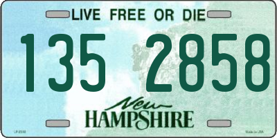 NH license plate 1352858