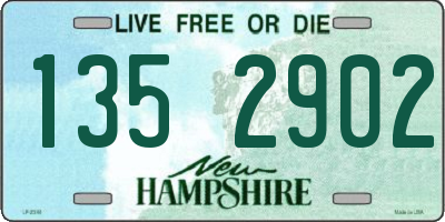 NH license plate 1352902