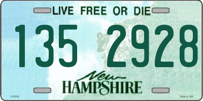 NH license plate 1352928