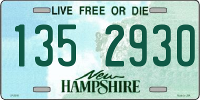 NH license plate 1352930