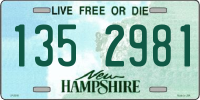 NH license plate 1352981