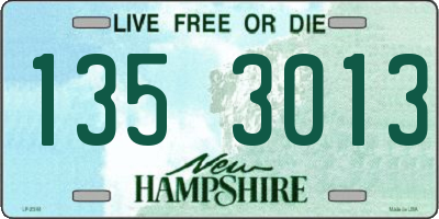 NH license plate 1353013