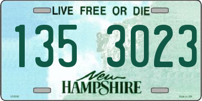 NH license plate 1353023