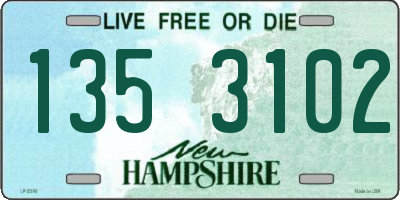 NH license plate 1353102