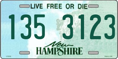 NH license plate 1353123