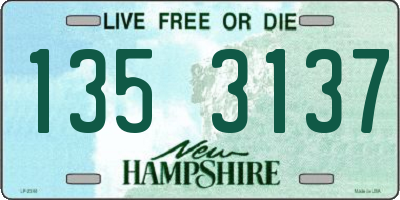 NH license plate 1353137