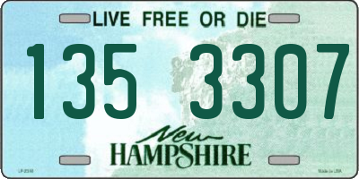 NH license plate 1353307