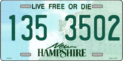 NH license plate 1353502