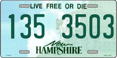NH license plate 1353503