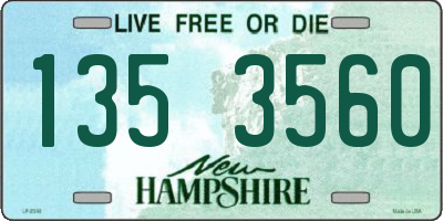 NH license plate 1353560
