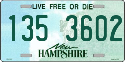NH license plate 1353602