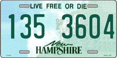NH license plate 1353604