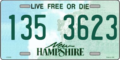 NH license plate 1353623