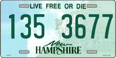 NH license plate 1353677