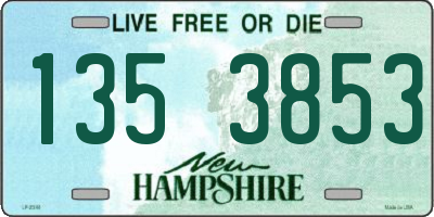 NH license plate 1353853