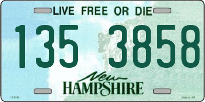 NH license plate 1353858