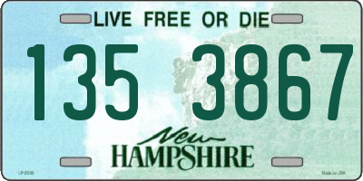 NH license plate 1353867