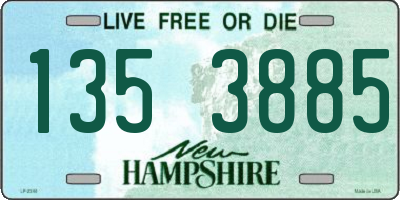 NH license plate 1353885